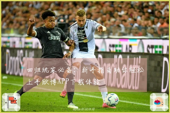 回归玩家必备：新手指南助你轻松上手欧博APP下载体验