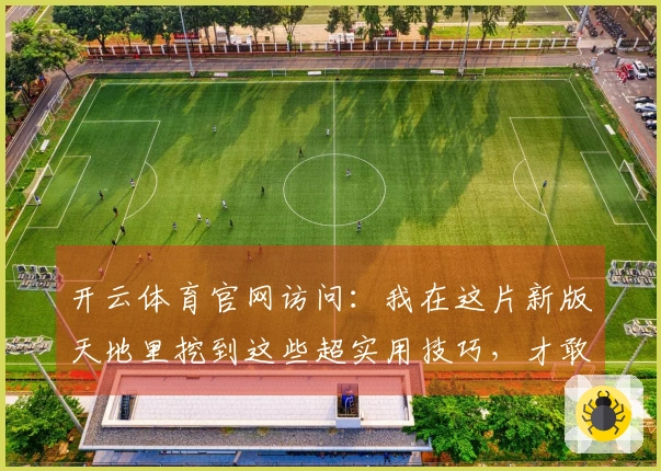 开云体育官网访问：我在这片新版天地里挖到这些超实用技巧，才敢分享给你！