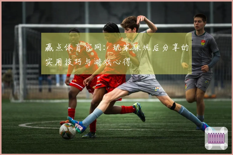 赢点体育官网：玩家踩坑后分享的实用技巧与游戏心得